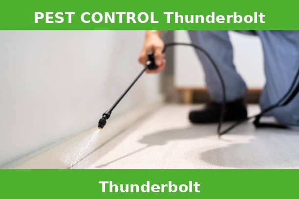 PEST CONTROL Thunderbolt